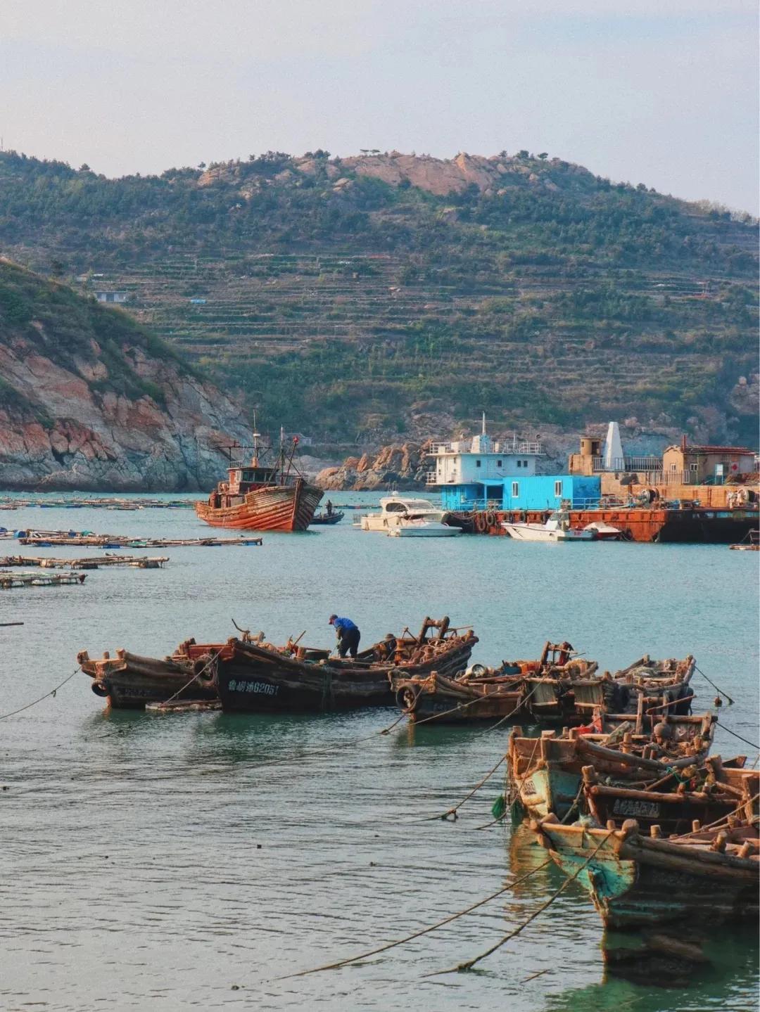 青岛最适宜旅游的景点有几个,青岛过年免费旅游景点