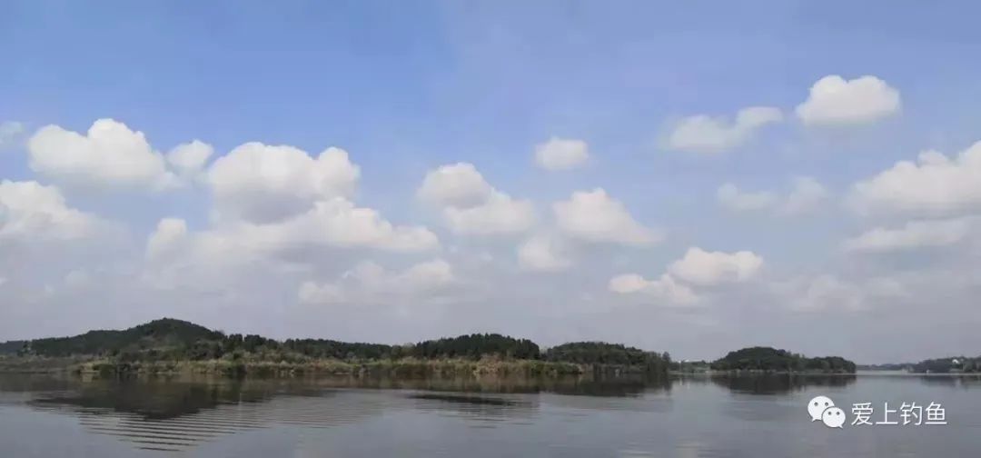 大李水库最新鱼情,各大水库近期鱼情