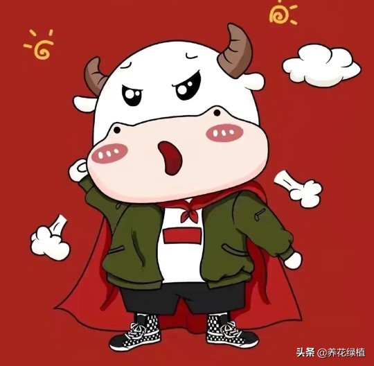 正月十九有哪项传统习俗,正月十九闽南习俗