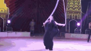 东南花都花博园景观,东南花都花博园