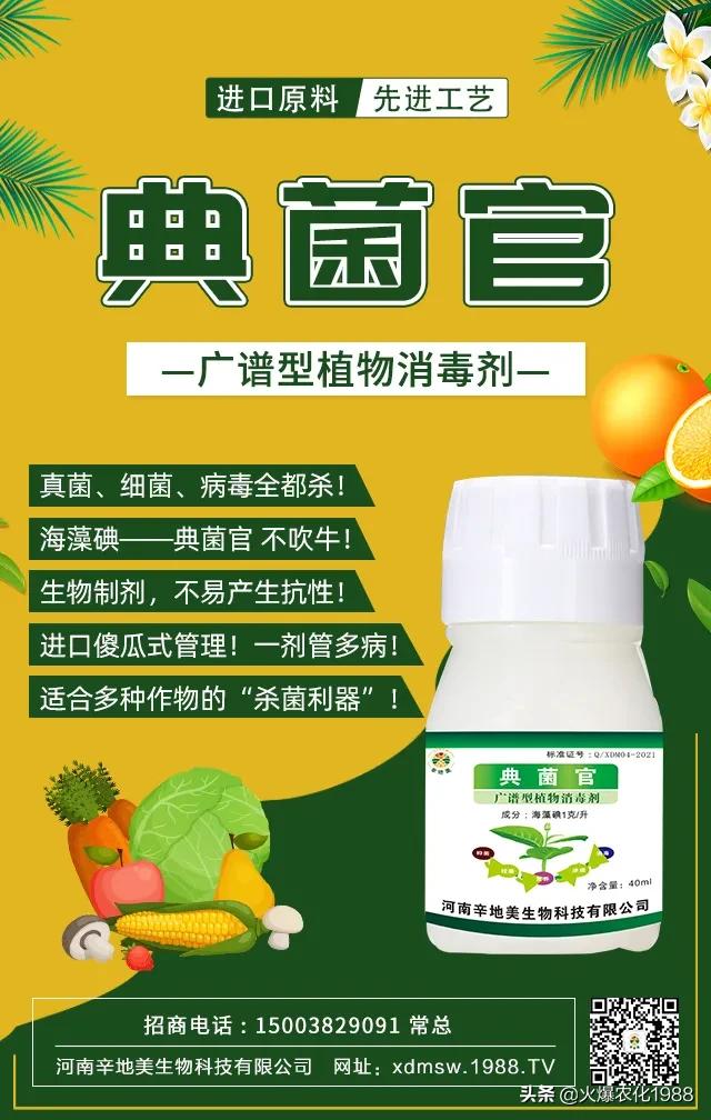 能杀灭真菌细菌病毒的东西,专杀细菌杀菌剂大全