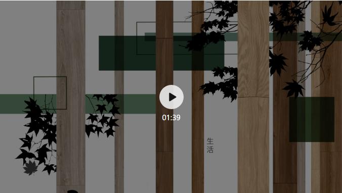 东鹏世界印象和东鹏关系,世界印象瓷砖价格