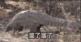 瀛曟湡杩蜂俊绂佸繉澶у叏,1-3涓湀瀛曞绂佸繉杩蜂俊