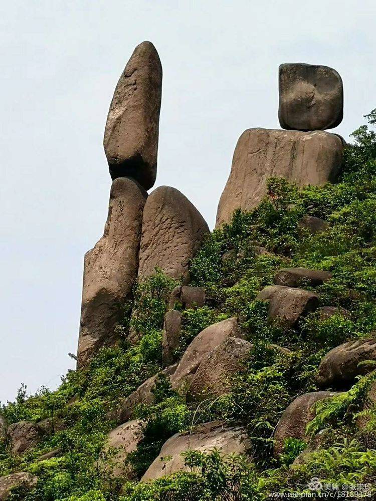 摩天石下再续罗山缘--6.16大罗山印记