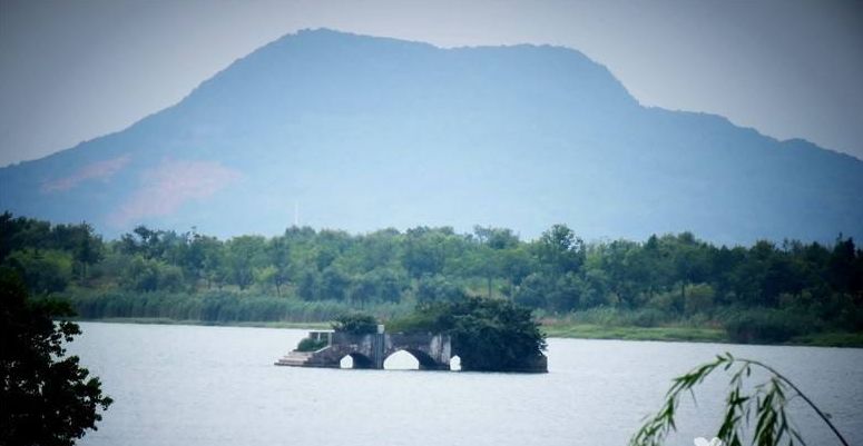 「原创诗词」金子正|秋风不是无情客一岭黄花照眼明