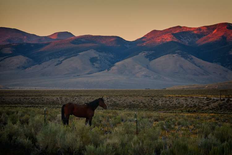 不是每个玩马术的人都是为了装X