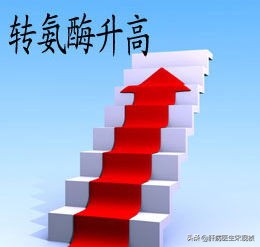 转氨酶降得快医生怀疑吗,转氨酶高不用什么中药调理