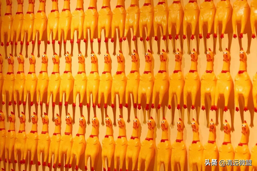 清远发泄减压馆,清远发泄馆