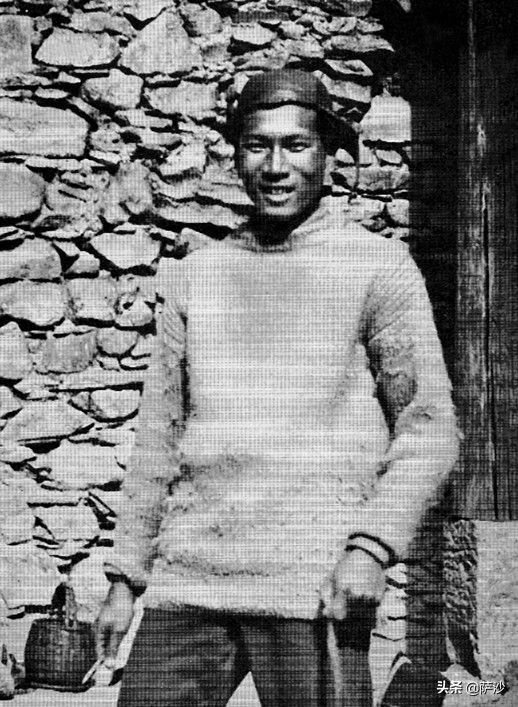 熊猫是如何被发现的英文版,熊猫是哪一年被人类发现的