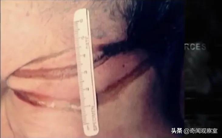 李昌钰十大经典案件破案,神探李昌钰破谢尔曼杀妻案