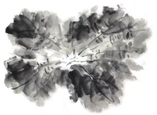 白描荷花100幅画法,荷花的画法白描图