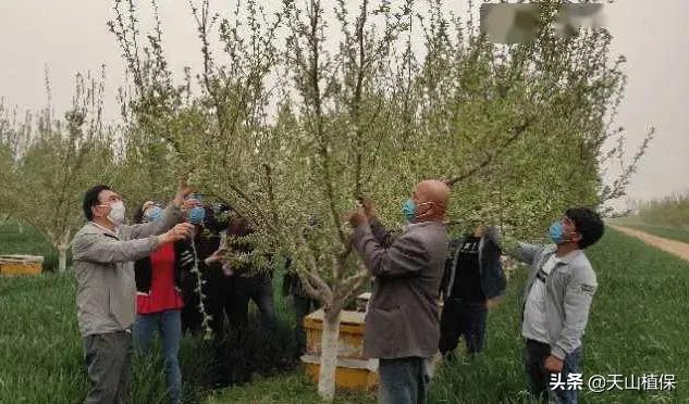 伽师县发展,伽师发展