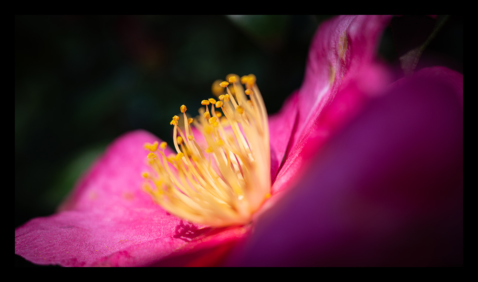 腾龙24mmf2.8全画幅广角微单镜头,腾龙352.8索尼镜头