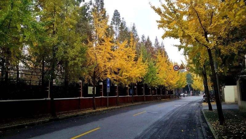 上海16区介绍有闸北吗,上海16个区高清地图