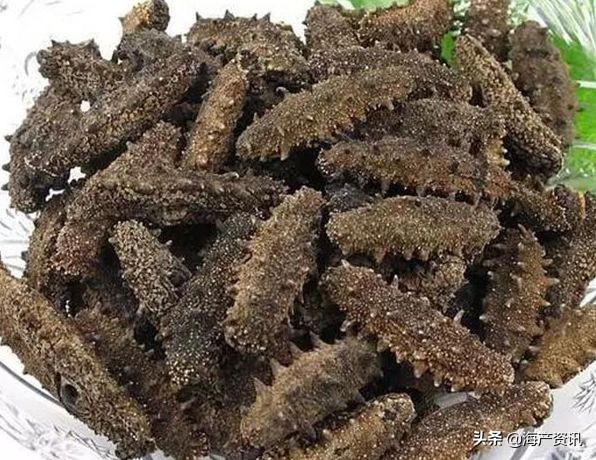 加拿大海参开袋即食,加拿大海参专卖店