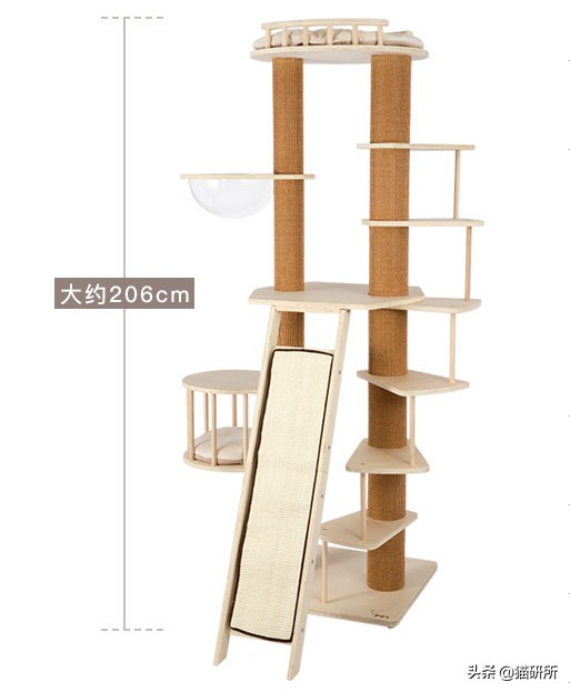 猫咪省钱好物维生素,猫咪必买的10种单品