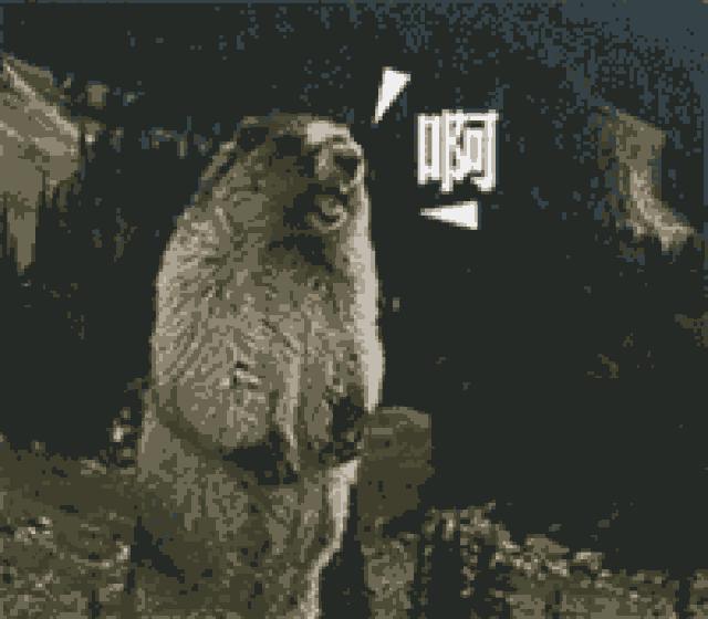 杭州近期值得看的演唱会,杭州2023年演唱会有哪些