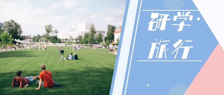 好的学校教育肯定是不一样的,哪些教育是学校替代不了的