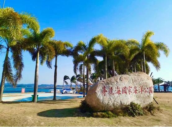 生蚝之乡广东阳江,生蚝之乡鲜蚝