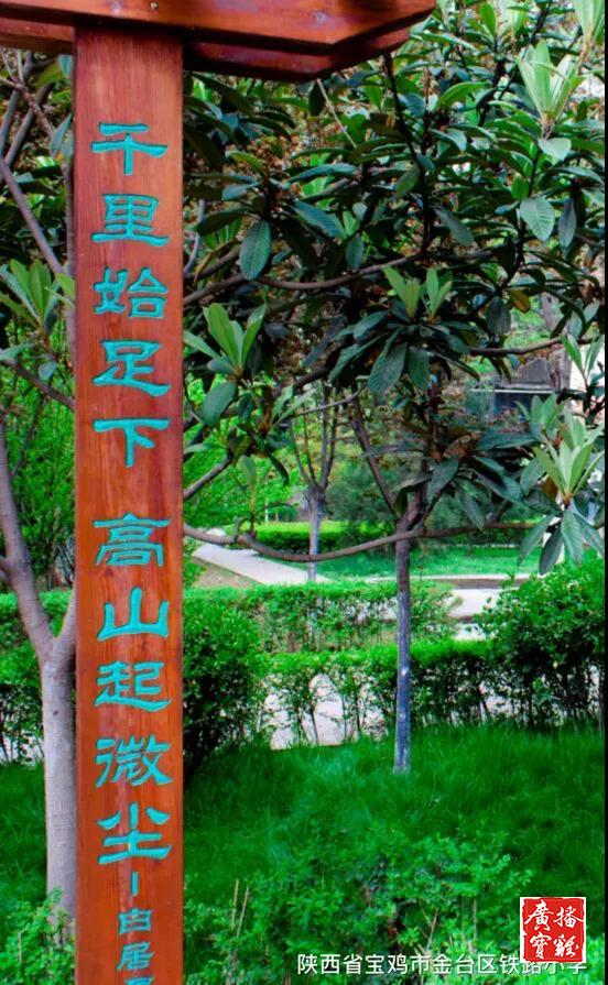 春天里的校园美景,春天里的校园很美