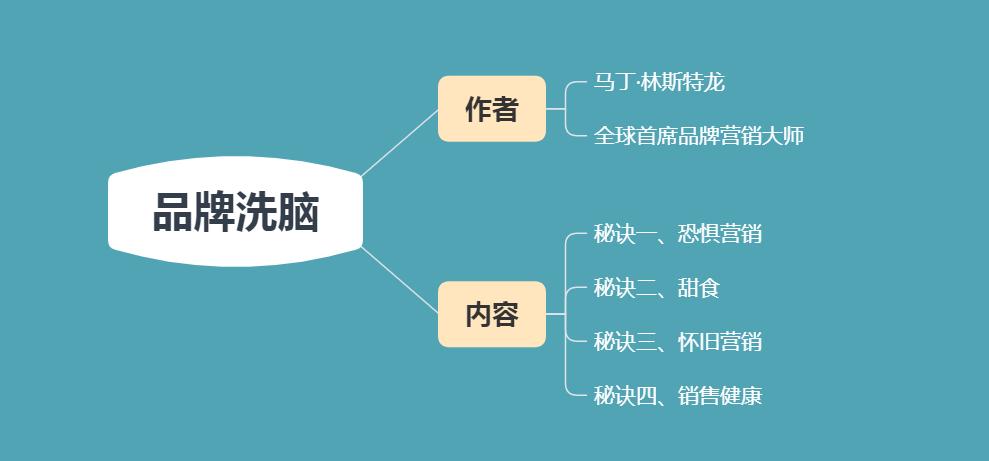 品牌*脑洗**—世界著名品牌只做不说的营销秘密：别再被*脑洗**了