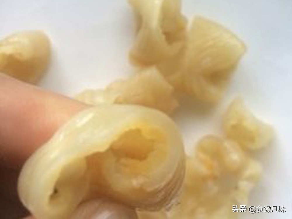 醇香鱼胶,舌尖上的顺德鱼胶