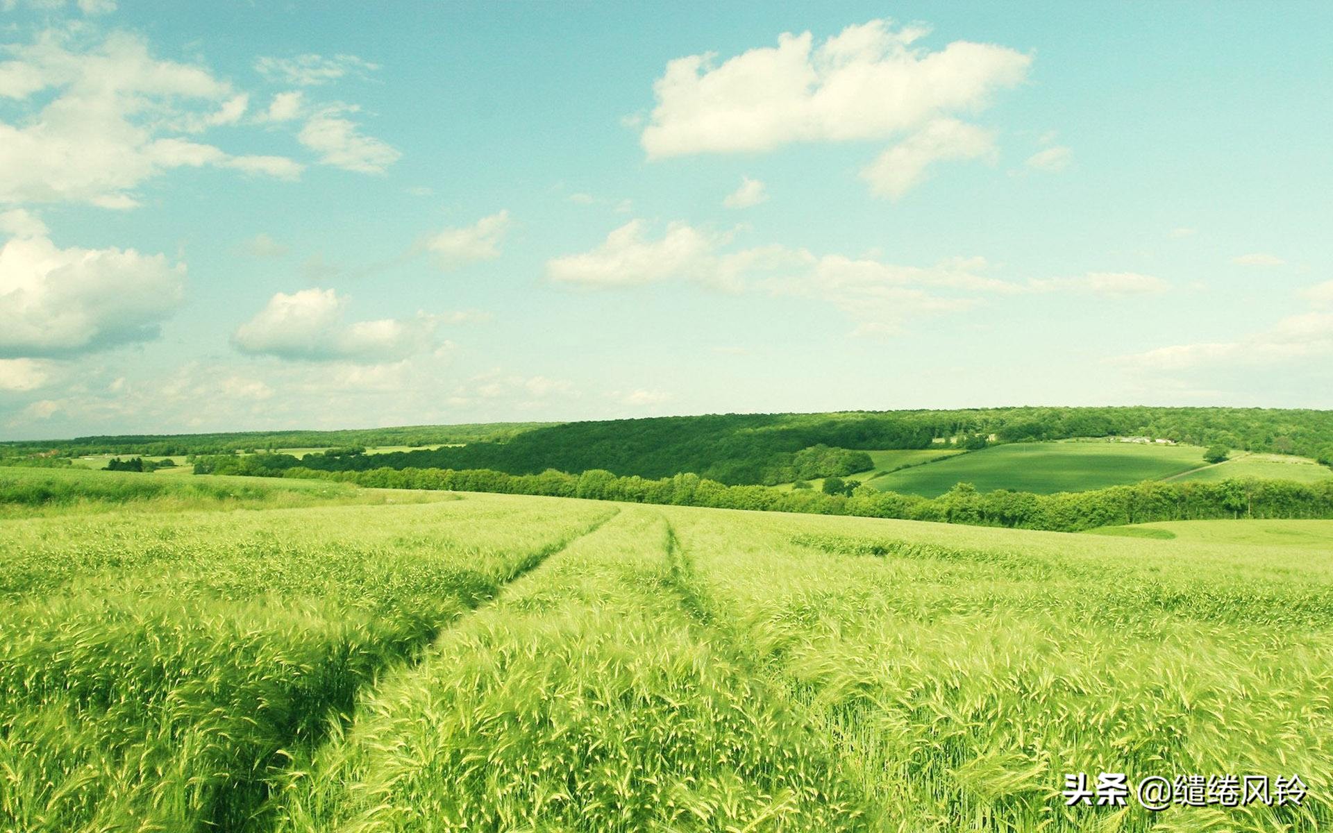 孤独的感觉是什么,感觉很孤独很压抑