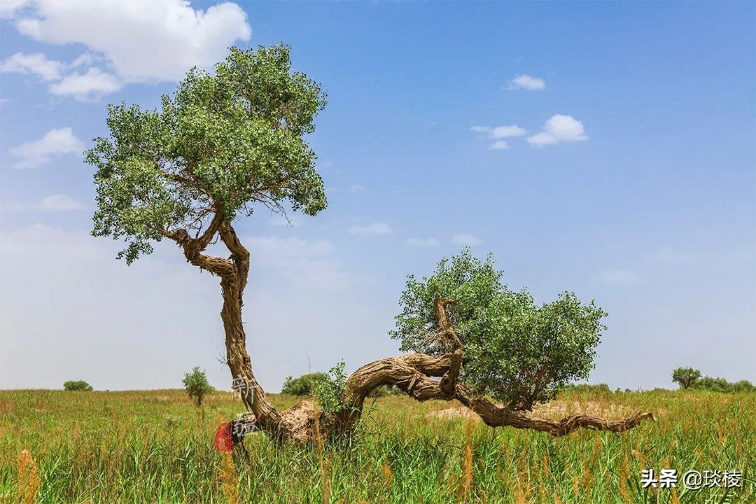 中国66号公路旅游攻略,中国自驾游66条经典线路