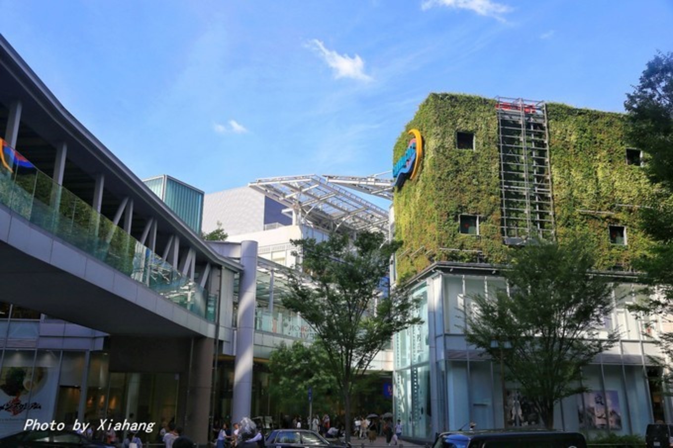 皇家加勒比地中海旅游航线,2016-2019年皇家加勒比游轮航线