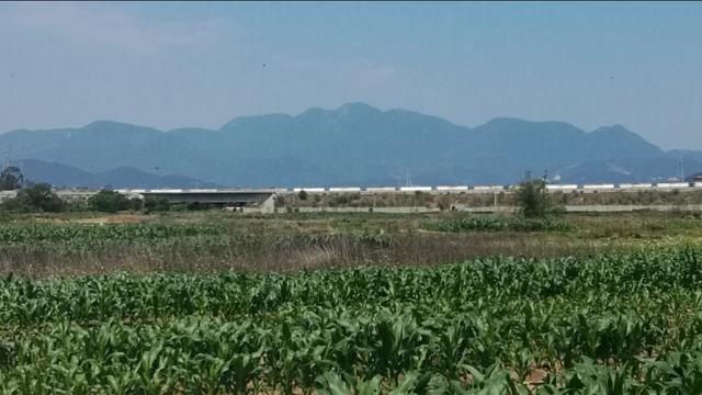 走在乡间的小路上曲谱,走在乡间的小路上歌曲