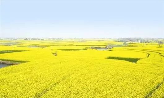 “荆品名门”荣获2019年“中国农业品牌建设学府奖”