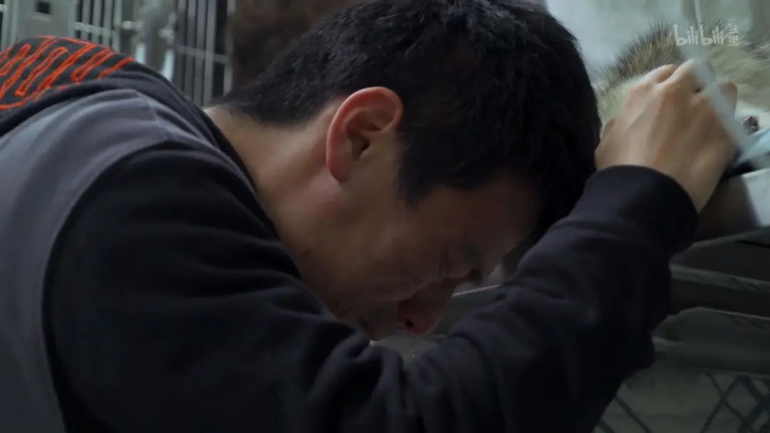 b站高分历史纪录片,2分钟一集的b站纪录片