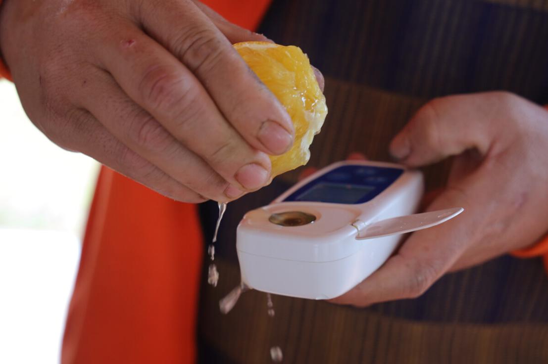 湖南橙子哪里产的最好吃,橙子怎么挑才最甜最好吃