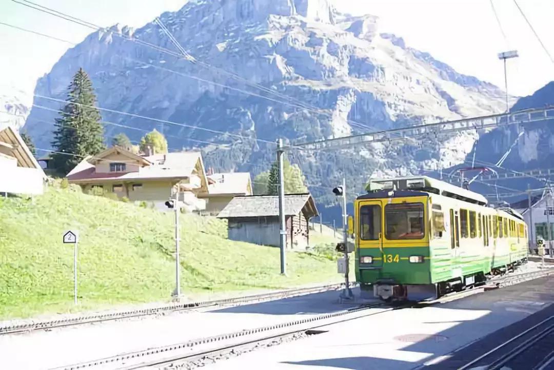 日本的冷知识视频,关于日本的奇葩冷知识