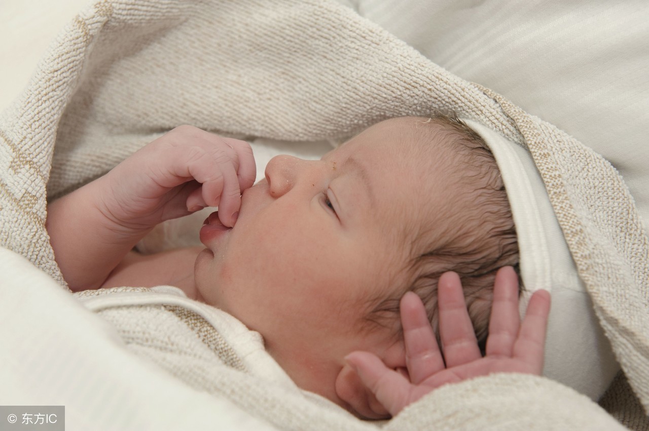 宝宝发烧不退又咳嗽,宝宝发烧不退脸上有几个小红点