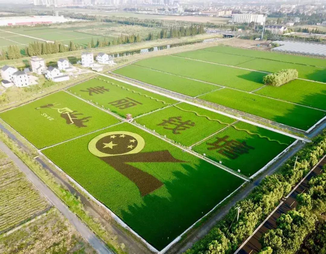 震撼！钱塘江畔出现巨型画作，有28个足球场这么大！