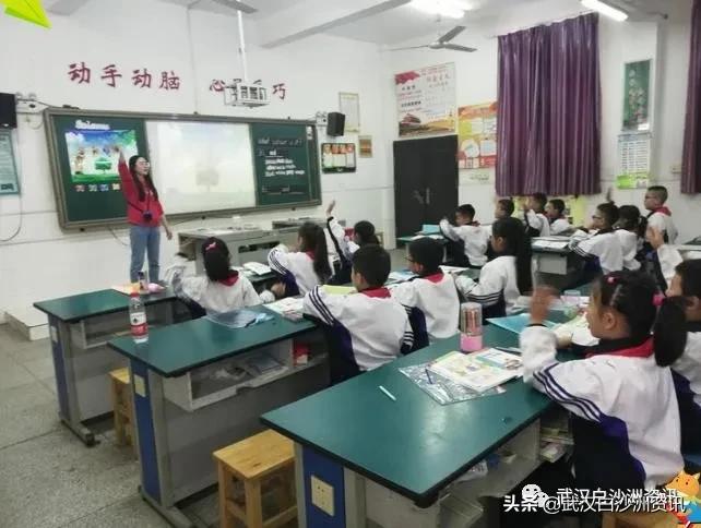 白沙洲青菱片区有哪些小学,白沙洲青菱小学怎样