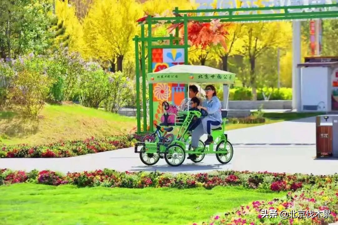 自驾游不走寻常路,不走寻常路怎么玩