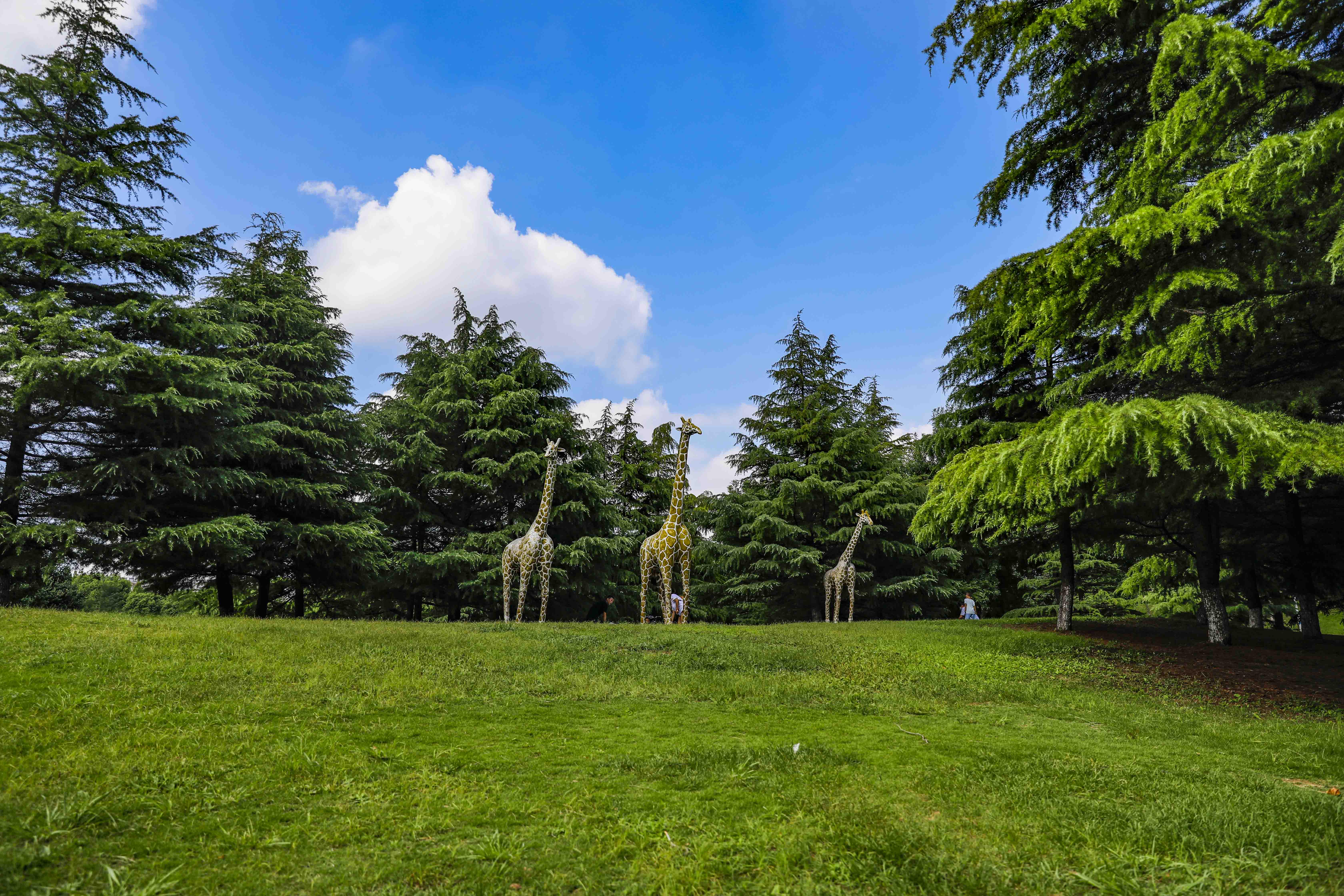 青州夏季一日游的好地方,青州周末旅游攻略