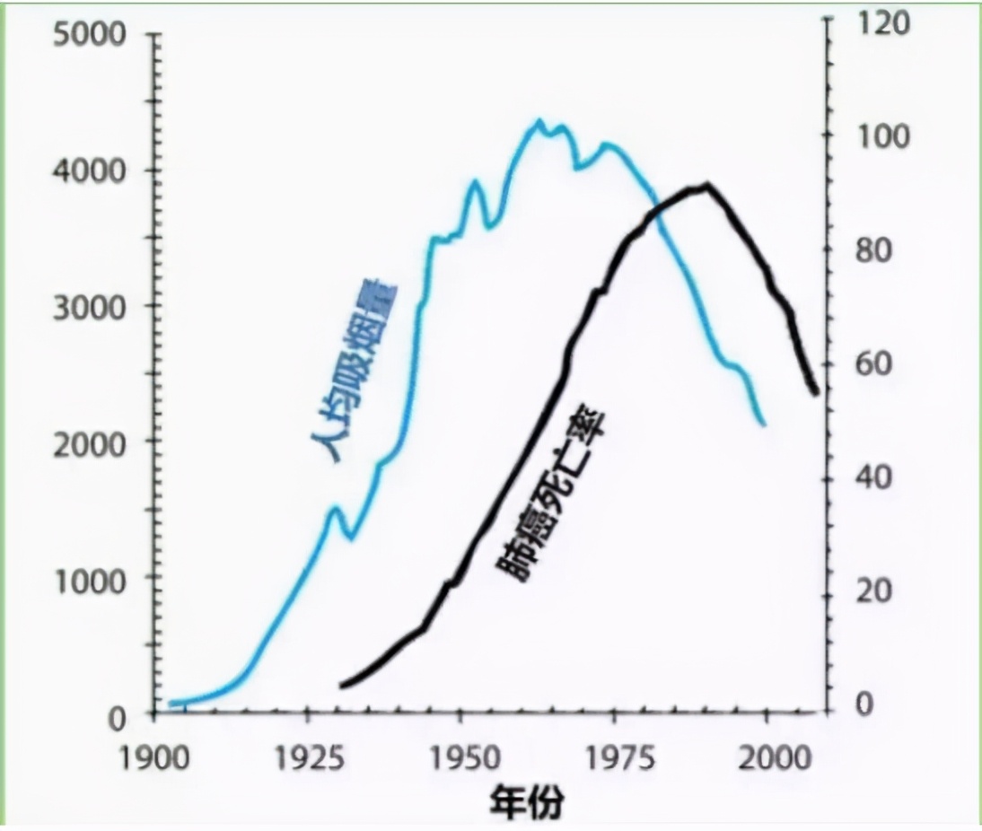 恶果之家电影,恶果之地新手教程
