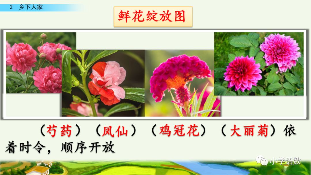 四年级下册乡下人家小练笔350字,四年级语文下册繁星精讲教学视频