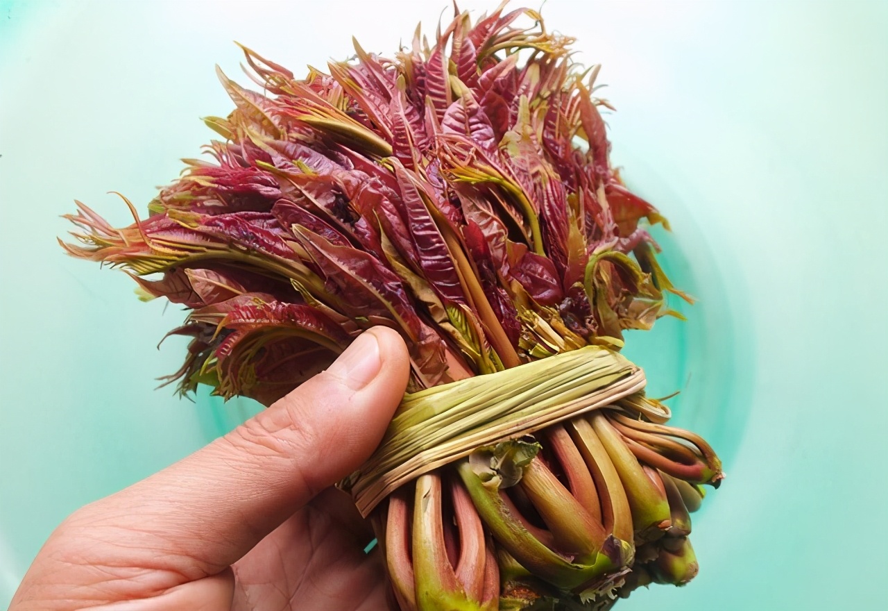 盘点那些春日野菜，看看你的家乡有吗