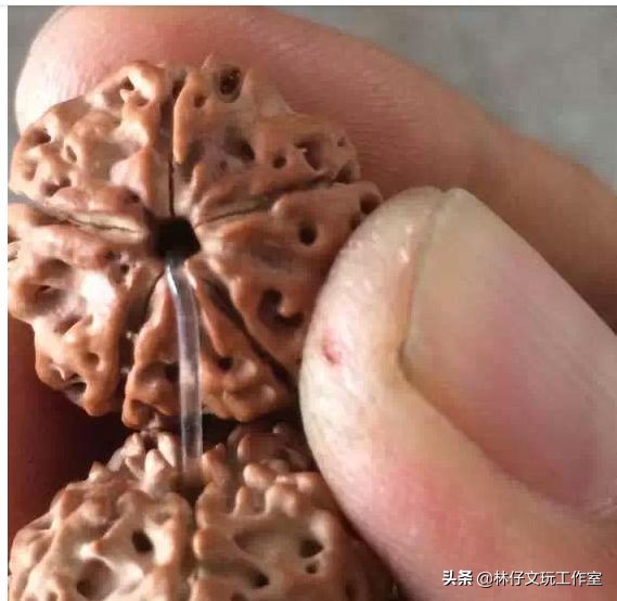 尼泊尔大金刚与落地红的简单区别,印尼大金刚就是落地红吗