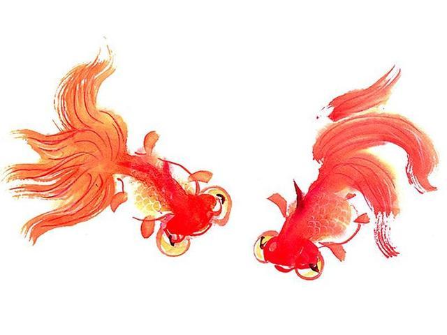 冬天金鱼怎么保暖过冬,金鱼怎么过冬效果最好