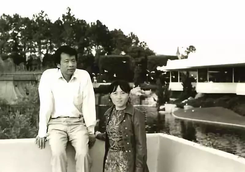 你好李银河王小波完整版,王小波和李银河儿子