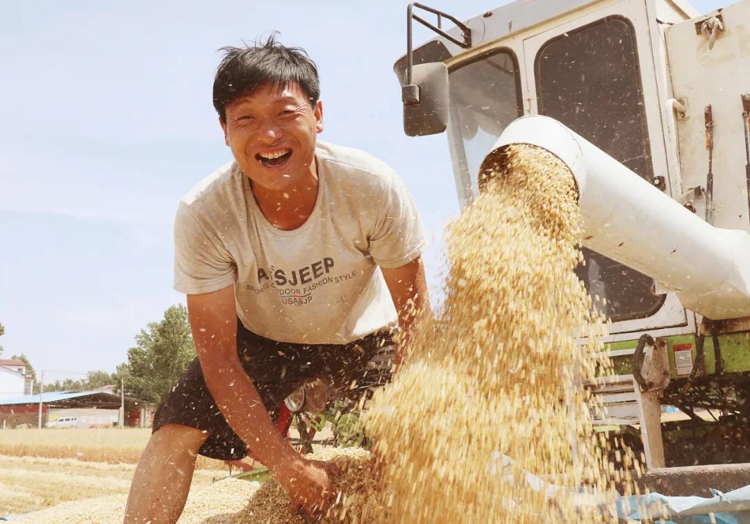 走向我们的小康生活微电影,走向我们的小康生活中国画