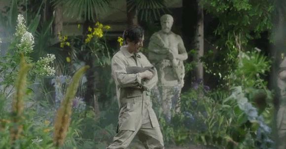 宠物比人吃得好,宠物比人金贵系列