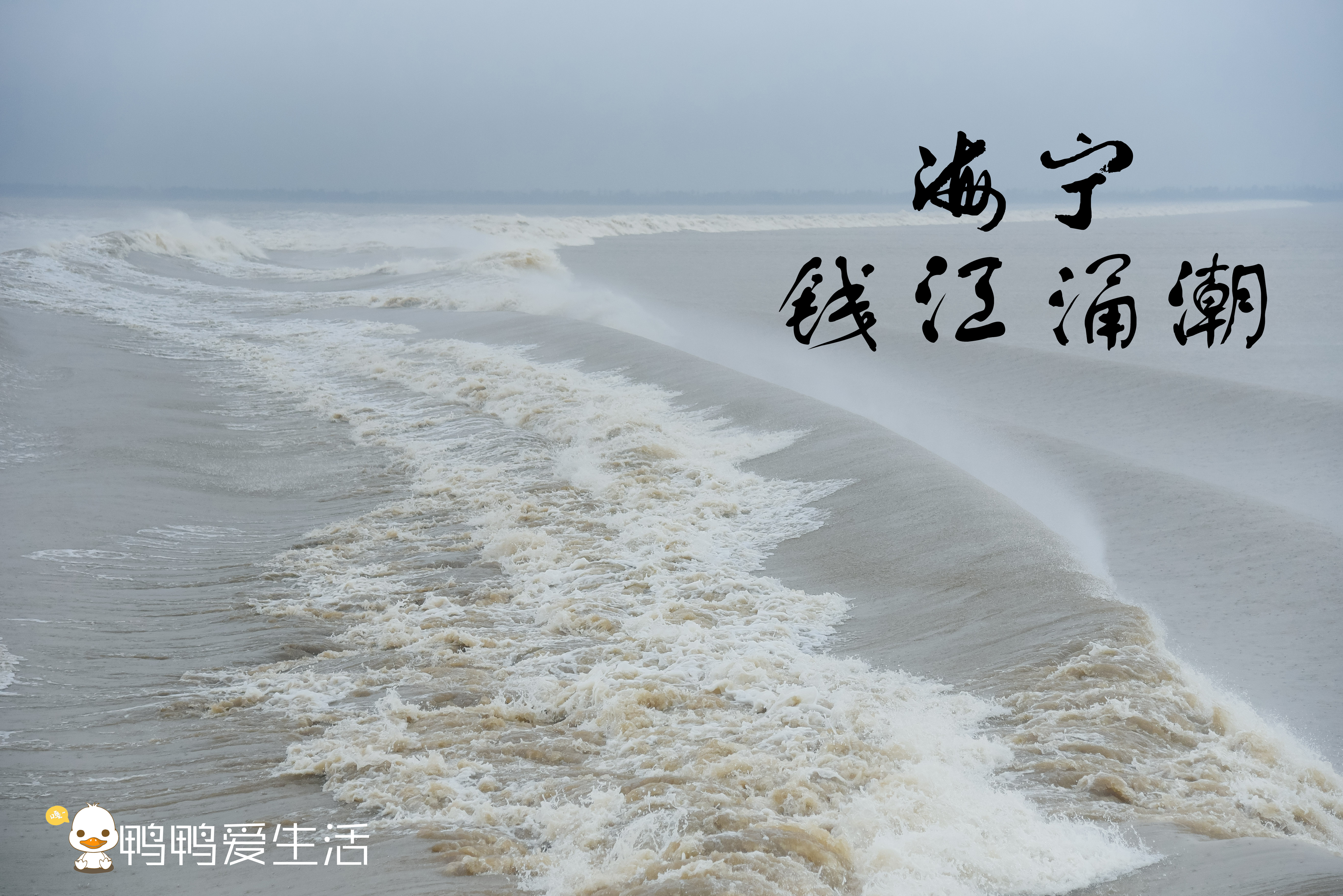 去海宁旅游有什么好玩的,海宁一日游美食攻略