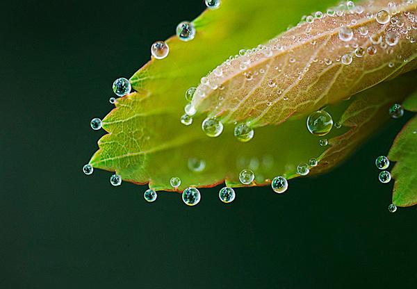 文学理论常识,文学理论吐血整理