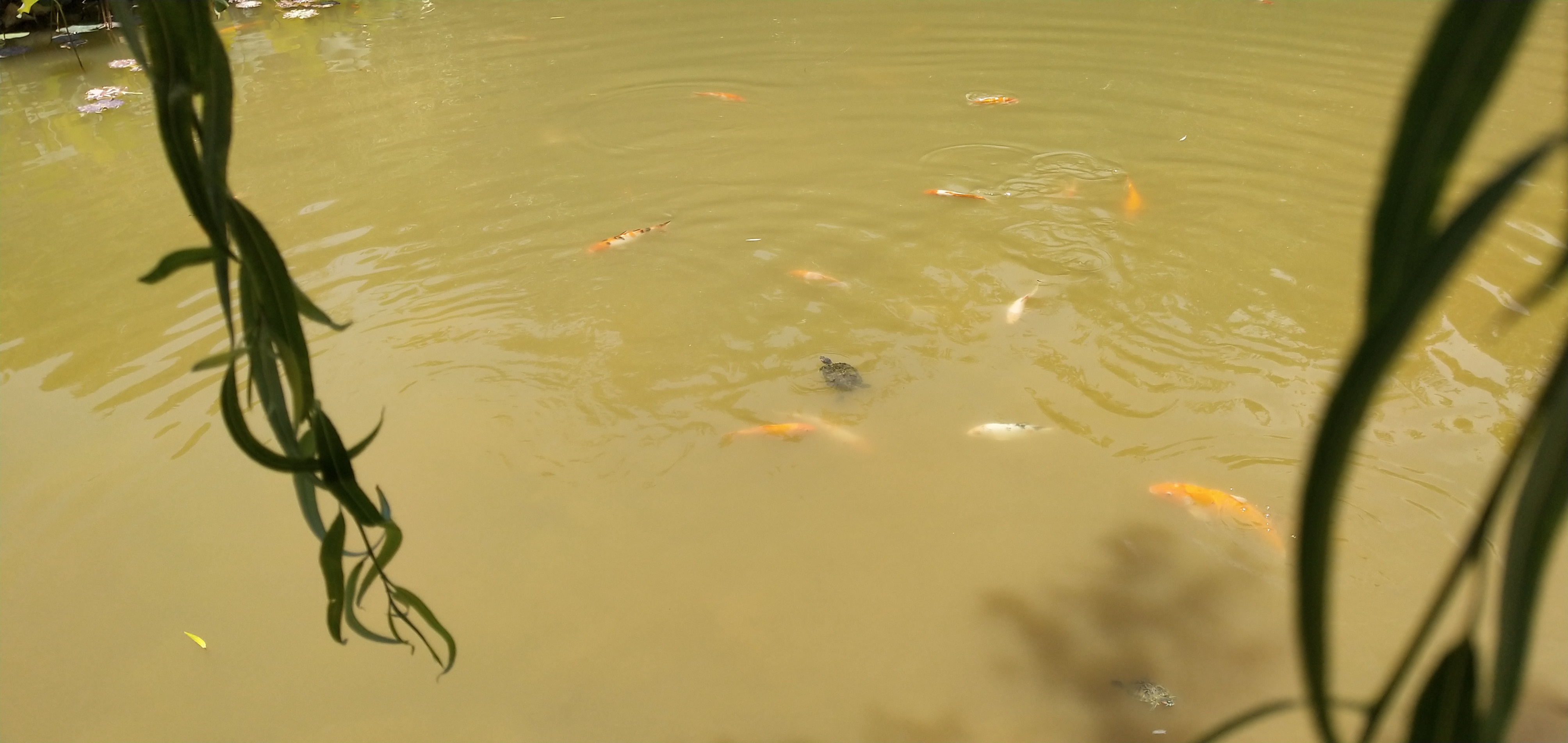 韶关旧貌与新貌,韶关生态环境与治理